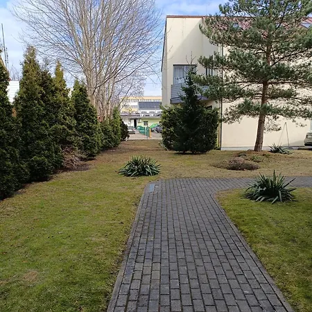 Pas Daiva بالانغا